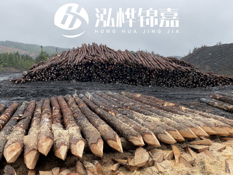6米長松木樁有哪些作用，多少錢一根？