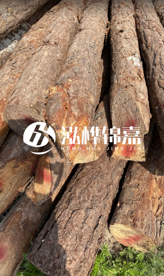<strong>松木樁和杉木樁的用途區(qū)別？哪個更適合打樁用？</strong>