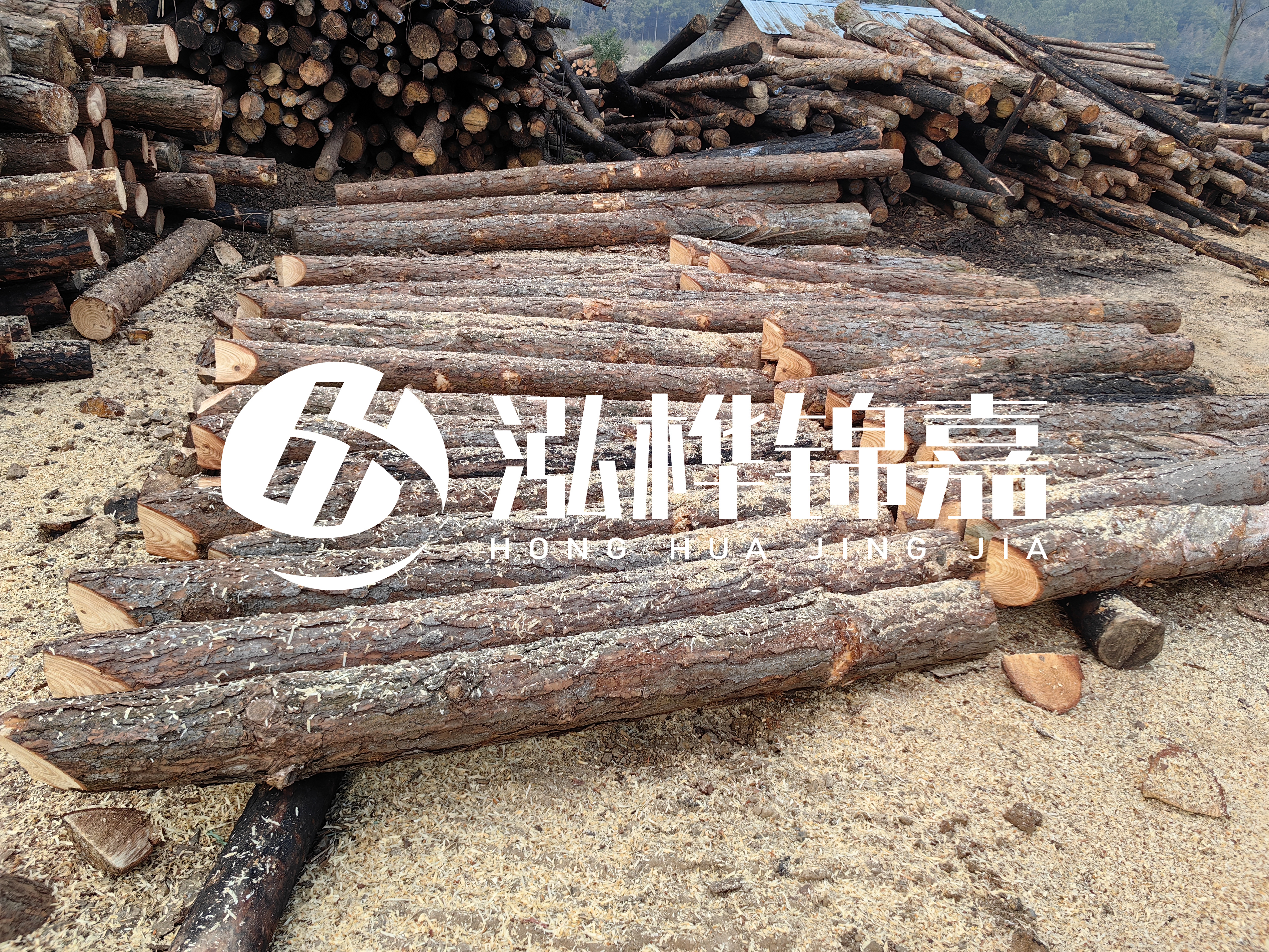 河道打樁木重復(fù)利用嗎？