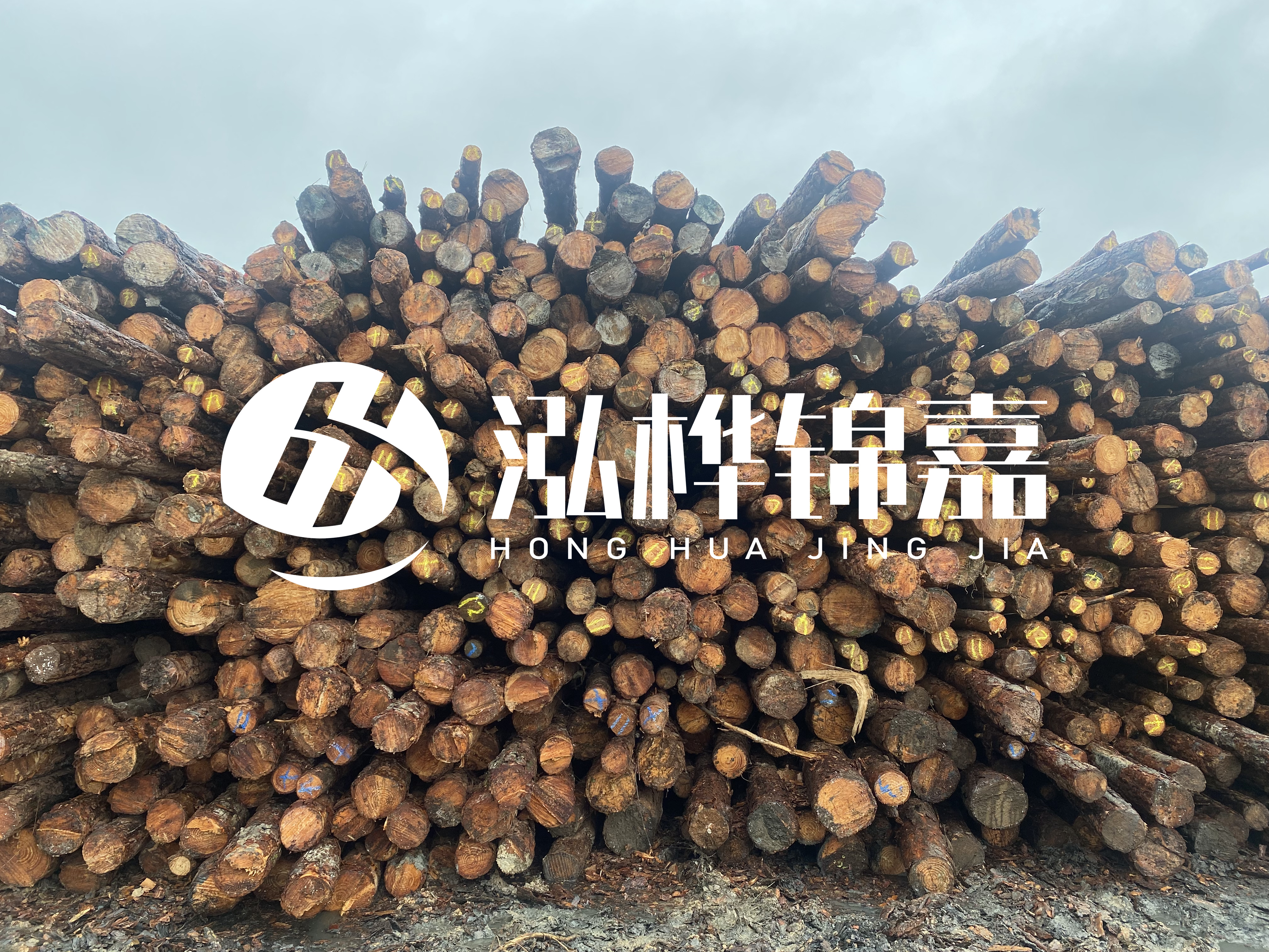 松木樁的直徑一般取多少？