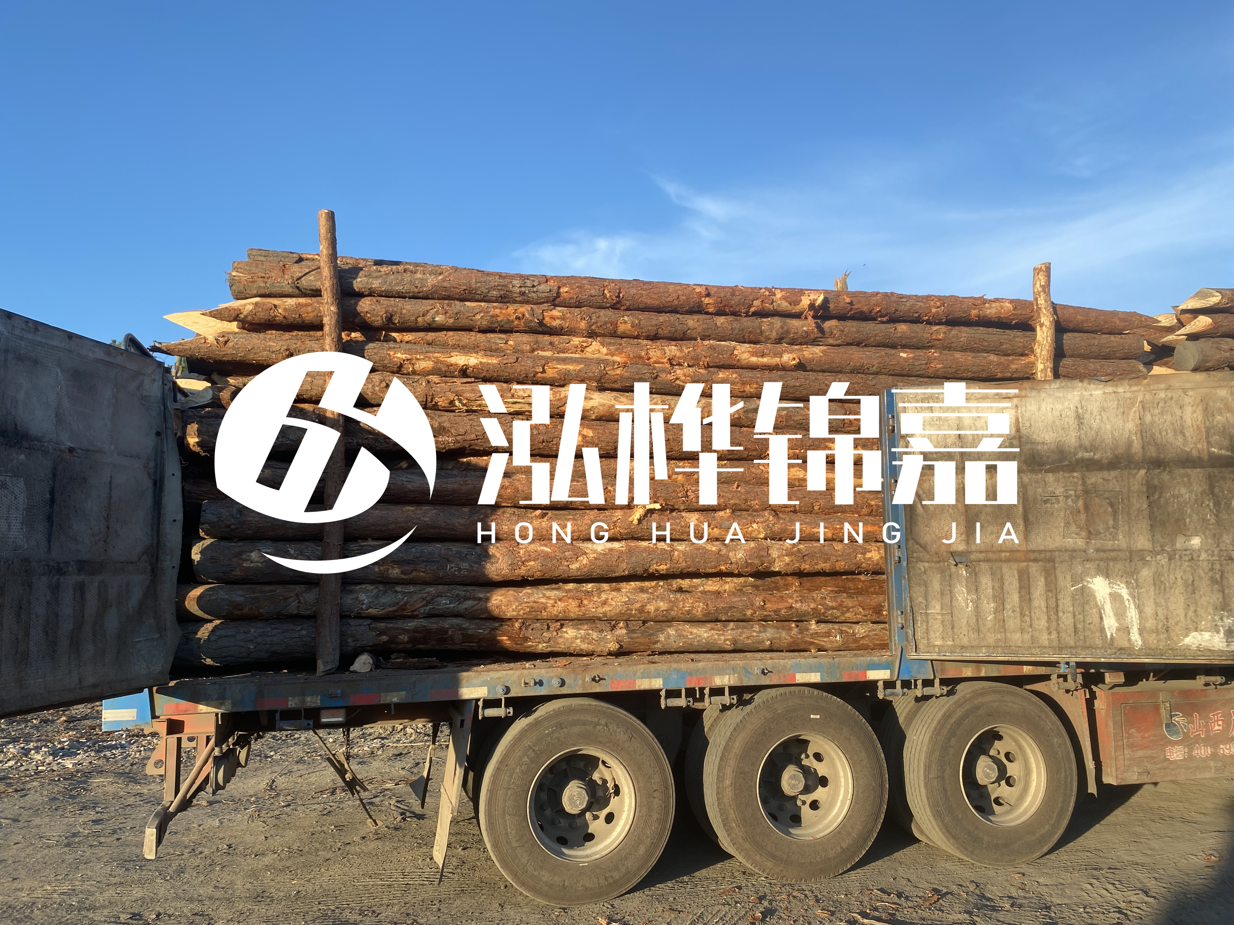 河道治理為什么要用松木樁？