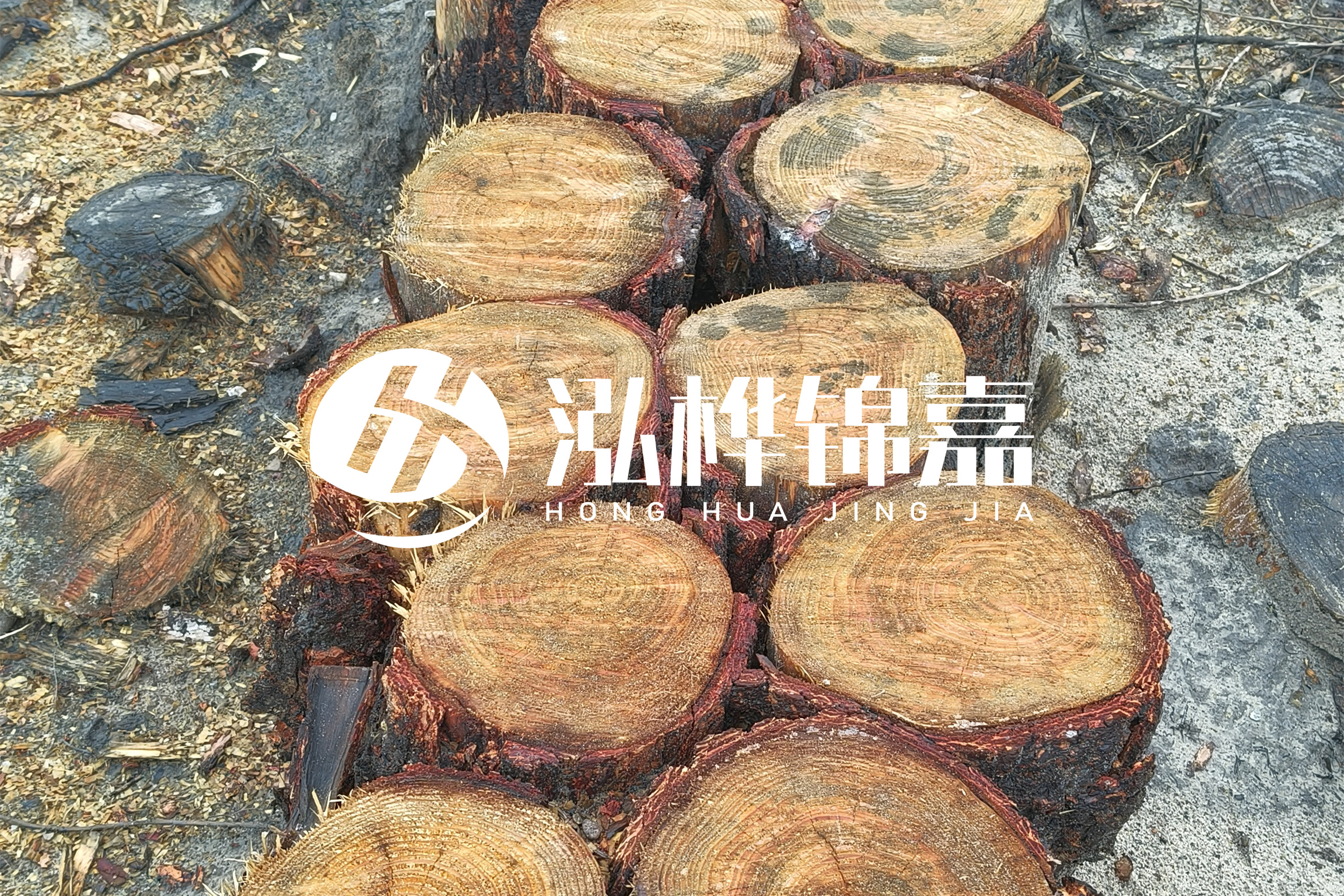 浙江臺(tái)州有清淤的公司嗎？浙江臺(tái)州有清淤施工隊(duì)嗎？