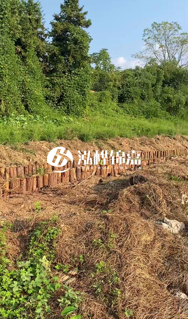 許昌河道清淤專(zhuān)業(yè)施工-河道污水治理要多長(zhǎng)時(shí)間？