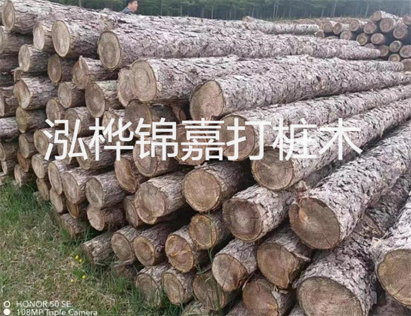 高效修補(bǔ)，保駕護(hù)航！水泥路面高強(qiáng)度修補(bǔ)料為您解決煩惱！