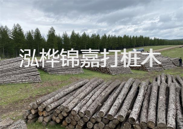 鋼結(jié)構(gòu)施工方案大全免費(fèi)提供，助力工程建設(shè)