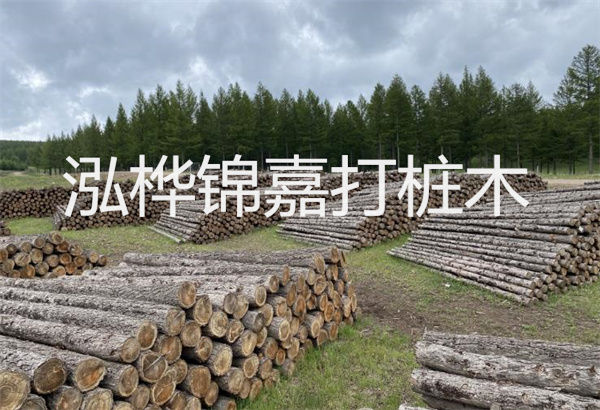 預(yù)制松木樁施工工藝：優(yōu)質(zhì)材料，高效快速，堅固耐用