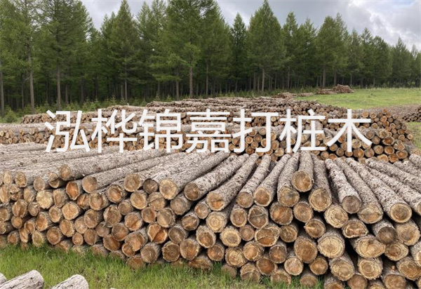 松木樁能施工嗎？探究視頻揭秘真相！