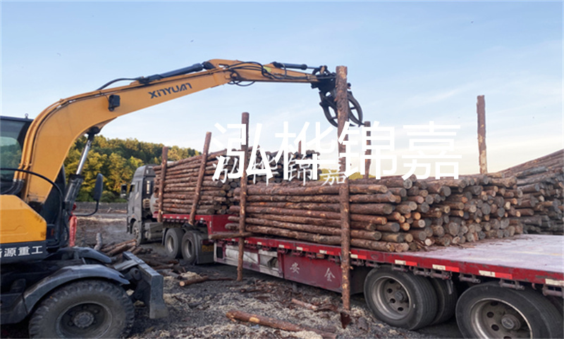 高質量杉木桿4米-為您打造穩(wěn)固結構的首選材料