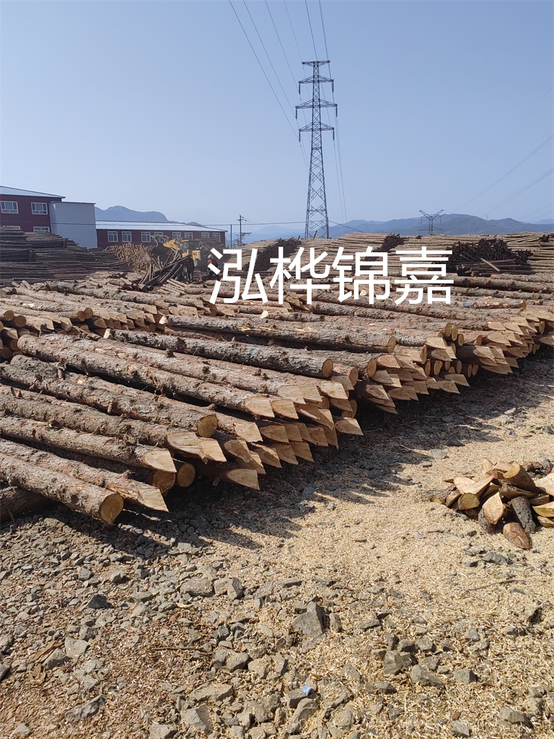 深入了解松木樁基礎(chǔ)施工單價(jià)，助力工程建設(shè)順利進(jìn)行！