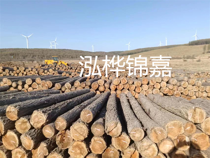 溫州松木樁施工廠家——為您打造堅固穩(wěn)定的建筑基礎(chǔ)！