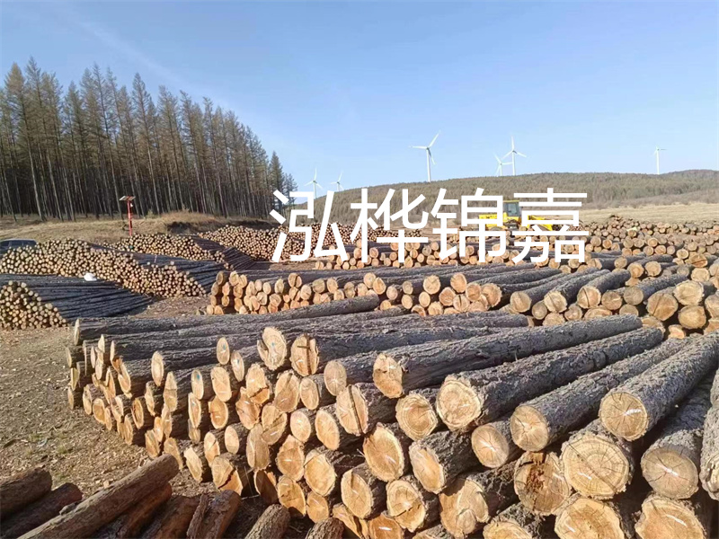 用路基松木樁施工方案提升工程質(zhì)量描述：了解路基松木樁施工方案的重要性，提高工程質(zhì)量關(guān)鍵詞：路基松木樁，施工方案，工程質(zhì)量