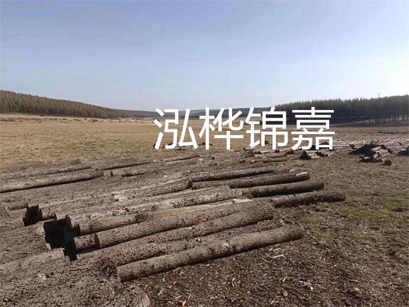 鄂州松木樁哪里好？推薦泓樺錦嘉松木樁業(yè)！